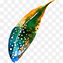 羽毛-空若网 羽毛-空若网