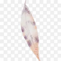 手绘羽毛图片手绘图片-空若网 手绘羽毛图片手绘图片-空若网