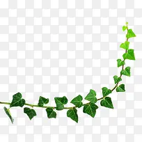 ��Ҷ��Բ�߿�-������