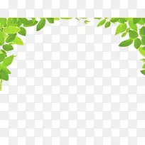 绿叶左右对称边框-空若网 绿叶左右对称边框-空若网