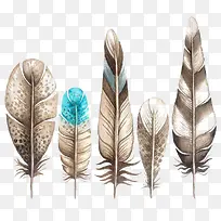 水彩羽毛收集-空若网 水彩羽毛收集-空若网