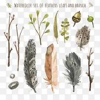 水彩羽毛叶子和树枝-空若网 水彩羽毛叶子和树枝-空若网