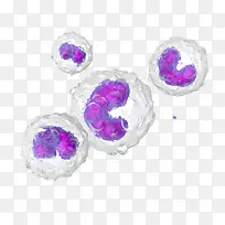 细胞科学形象图示-空若网 细胞科学形象图示-空若网