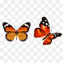 ºûµûÀ¥³æ-¿ÕÈôÍø ºûµûÀ¥³æ-¿ÕÈôÍø