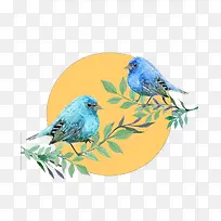 爱情鸟-空若网 爱情鸟-空若网