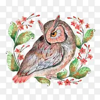 水彩手绘猫头鹰插画-空若网 水彩手绘猫头鹰插画-空若网
