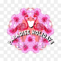 红色火烈鸟-空若网 红色火烈鸟-空若网