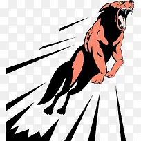 野生攻击动物-空若网 野生攻击动物-空若网