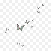 起飞的蝴蝶-空若网 起飞的蝴蝶-空若网