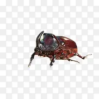 ţʺ¿ÇÀÉ-¿ÕÈôÍø ţʺ¿ÇÀÉ-¿ÕÈôÍø