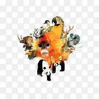 动物-空若网 动物-空若网