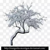 冬季树枝剪贴画-雪树-空若网 冬季树枝剪贴画-雪树-空若网