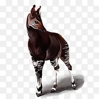 矢量小马-空若网 矢量小马-空若网