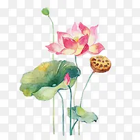 唯美手绘鲜花-空若网 唯美手绘鲜花-空若网