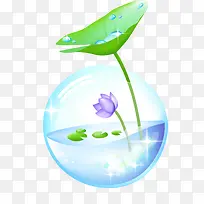 唯美荷花-空若网 唯美荷花-空若网