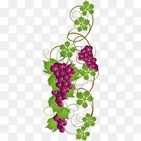 ��ͨ����ʳ��ʸ��Ԫ��-������