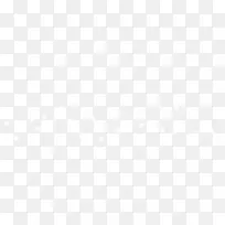 ����Ư����ɫѩ��-������