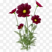 ����ʸ��ͼ�ز�Ψ������ͼƬ-������