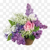 花草图案线描花草-空若网 花草图案线描花草-空若网