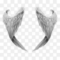 ��ͨ���-������