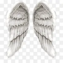 ��ɫ��ʹ���ͼ��-������