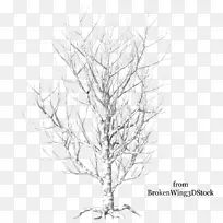 ��֦����������-ѩ��-������