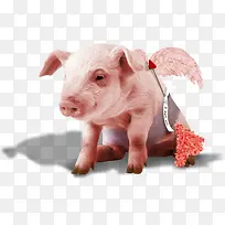 ������С��-������