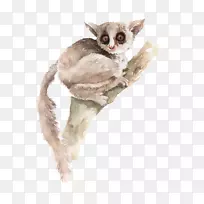 Ê÷´üÐÜË®²Ê»²åͼ-¿ÕÈôÍø Ê÷´üÐÜË®²Ê»²åͼ-¿ÕÈôÍø