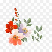 三朵小花-空若网 三朵小花-空若网