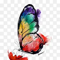 彩绘蝴蝶-空若网 彩绘蝴蝶-空若网