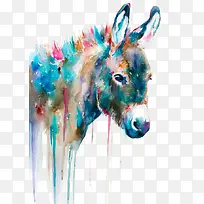 驴-空若网 驴-空若网