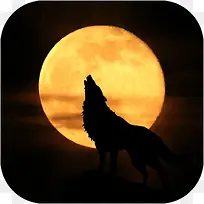 �ֻ�ҹ��ֱ����������APPͼ��-������