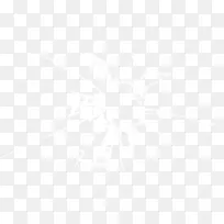 ���鲣��-������