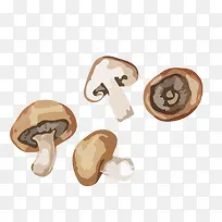 ��ͨ�ֻ��߲�װ�κ�������㹽-������