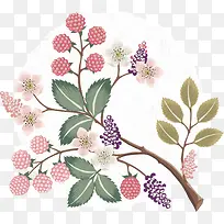 多彩美丽花枝-空若网 多彩美丽花枝-空若网