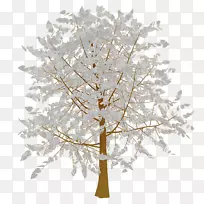 树枝心树-空若网 树枝心树-空若网