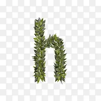 绿叶字母h-空若网 绿叶字母h-空若网