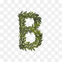 绿叶字母b-空若网 绿叶字母b-空若网