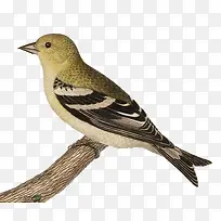 �����-������