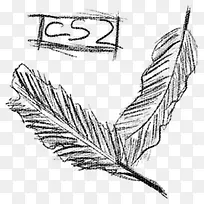 �ֻ���ë-������