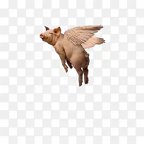 ��ɵ���-������