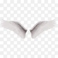 白色维密翅膀-空若网 白色维密翅膀-空若网