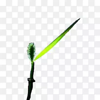 �ڿ��쵼��ÿһ����ҵ����Ҫ���11��ȱ�ڣ��Լ�Ѹ��������Щ��������-��ƺ��-��Ƭ��-������