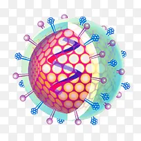 生物细胞分子细胞示意图-空若网 生物细胞分子细胞示意图-空若网