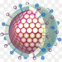 ����ϸ����ѧ��ѧͼ-������