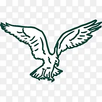 对称的矢量卡通秃鹰-空若网 对称的矢量卡通秃鹰-空若网