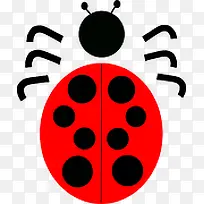 七星瓢虫-空若网 七星瓢虫-空若网