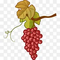卡通手绘紫葡萄-空若网 卡通手绘紫葡萄-空若网
