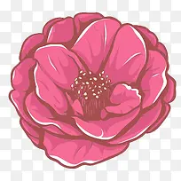 手绘红花-空若网 手绘红花-空若网