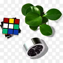 ħ����ֲ��Ԫ��-������